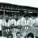 Deodato Ribeiro da Silva